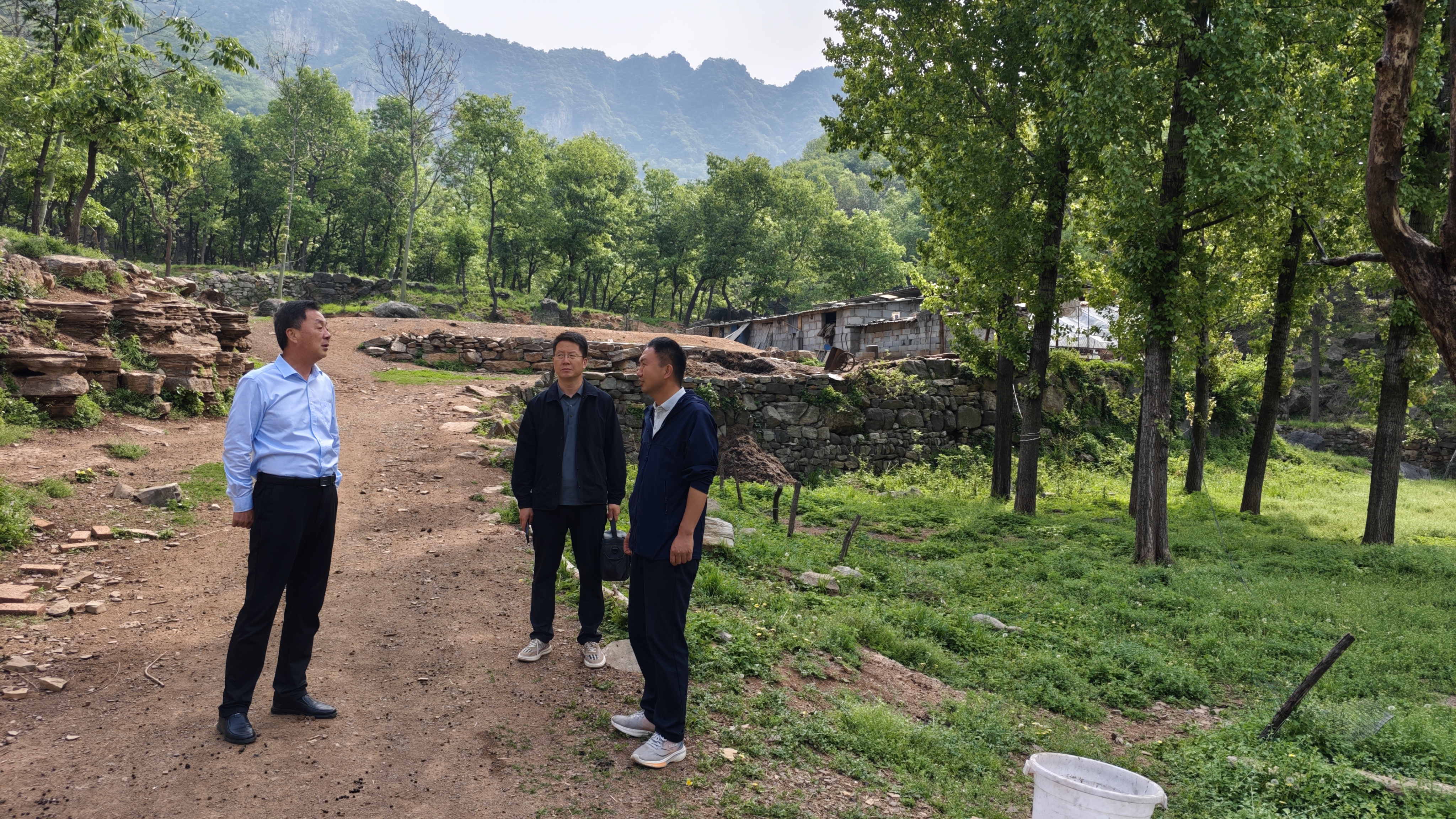 1776329222684205.jpg 1776329222684205.jpg